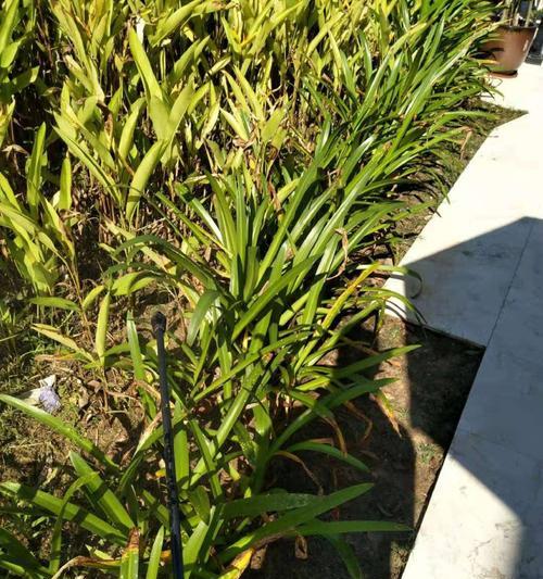 绿盾运行时电脑配置是否足够？-趣考网