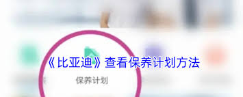 比亚迪APP如何查询保单？比亚迪软件查看保单方法