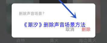 潮汐如何删除声音场景？潮汐怎样移除声音场景-趣考网