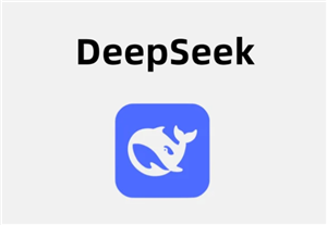 deepSeek在线服务会导致数据泄露吗？deepSeek在线使用与api使用区别