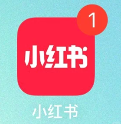 小红书红点怎么取消？小红书红点点开没消息怎么回事