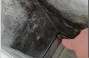 墙上为什么长毛毛？墙体长毛因为啥裂缝是元凶