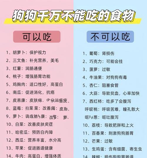 狗狗不吃剩粮会有什么后果？如何处理剩余食物？-图2