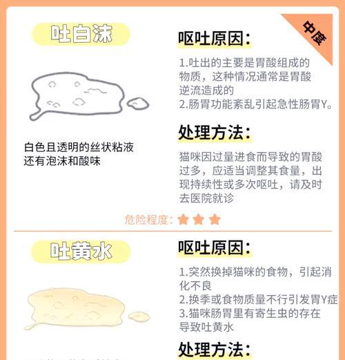 德文猫换粮呕吐怎么办？解决方法和预防措施？-图2