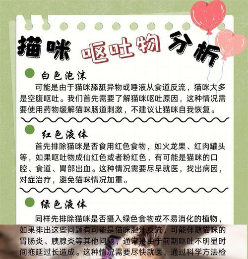 德文猫换粮呕吐怎么办？解决方法和预防措施？-图3