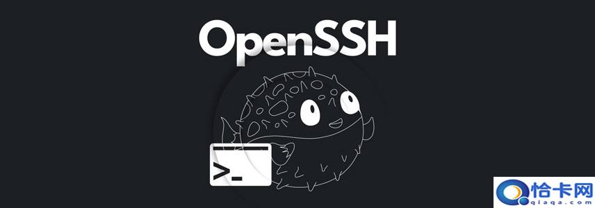 OpenSSH 9.9 发布：引入量子抗性算法，提升安全性-趣考网