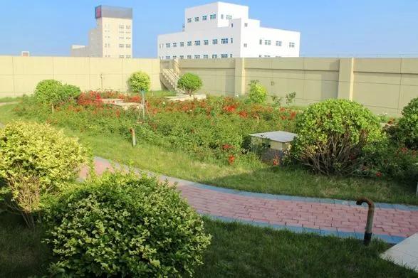为什么种植屋面？种植屋面做法详介及成本分析-图1