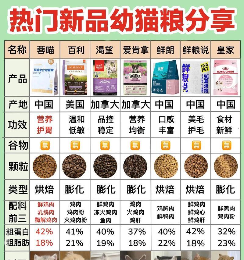 小橘猫偏爱哪种猫粮？如何挑选？-图1