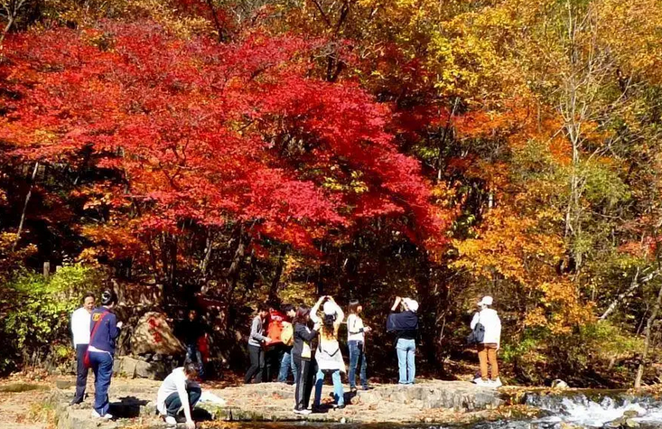 阜新旅游景点哪里好玩的地方？景点大全排名介绍！-图9