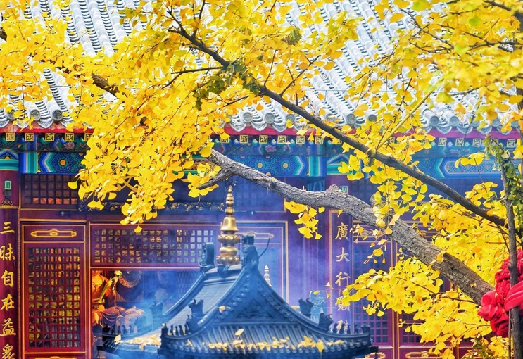 鞍山旅游景点哪里好玩？辽宁鞍山旅游必去十大景点！-图8