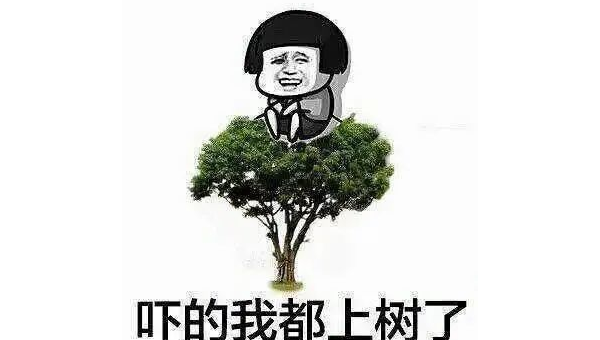 如何在 Linux下安装和使用 SoX 进行音频处理