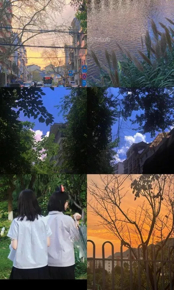 苹果冷暖色调怎么调？苹果原相机调色万能公式-图11