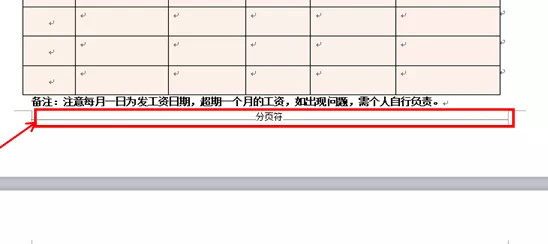 wps最后一页空白页怎么删除？wps文字多了一个空白页面怎么删除-图5