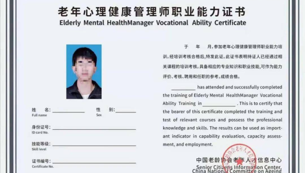 Git 子模块管理：大型项目依赖库版本控制与更新策略