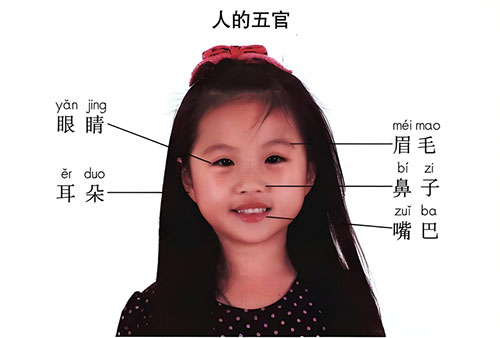 五官是指哪几个部位-图1