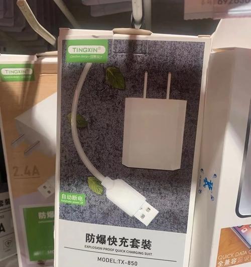 大新工作充电器的使用方法是什么?