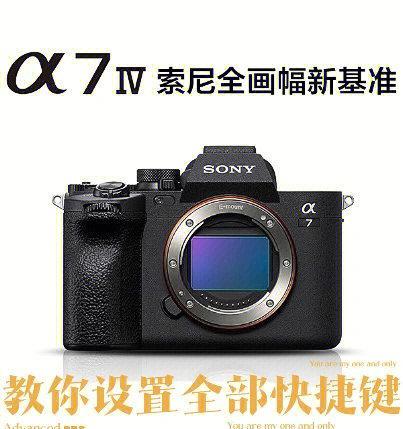 索尼相机如何调整镜头拍摄海鸥?最佳设置是什么?