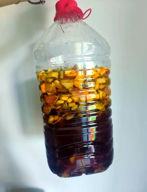 电商酵素饮品制作教程，如何自制热销款？视频步骤详解-趣考网