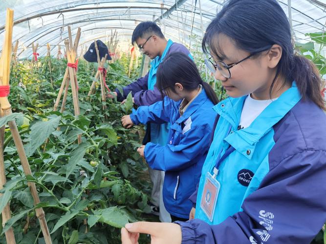 中专生如何从零开始快速入门电商行业？-趣考网