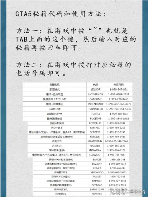 GTA5如何训练小查？简单步骤与技巧解析