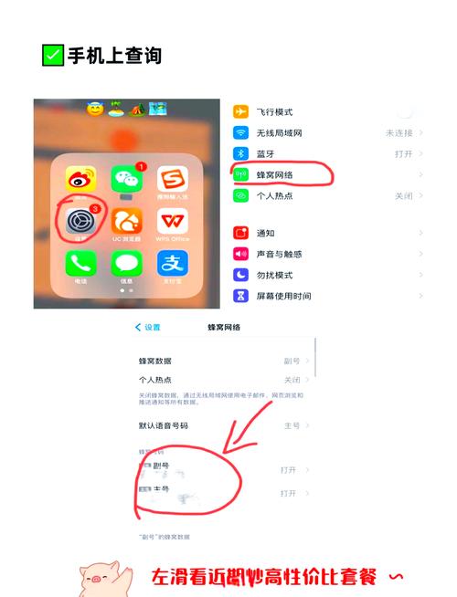 如何查询本机号码？手机号码查看方法大全