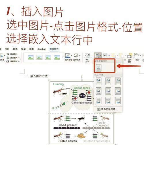 如何查看文件位置？