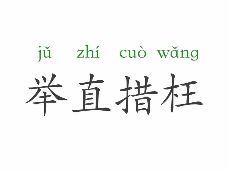 直字成语有什么？一天一个成语：举直错枉