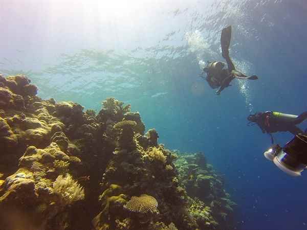 遭遇强大暗流！中国女游客为捞相机命丧87米海底(图1)