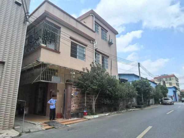 86岁老人与已故儿子的女友结婚，具体是什么情况？