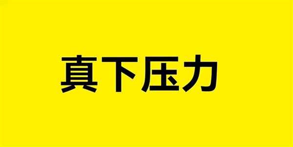 莲花中国：真风道真下压力 玩风欢迎讨教(图5)