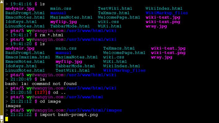 如何解决CentOS中的Bash Shell常见问题？