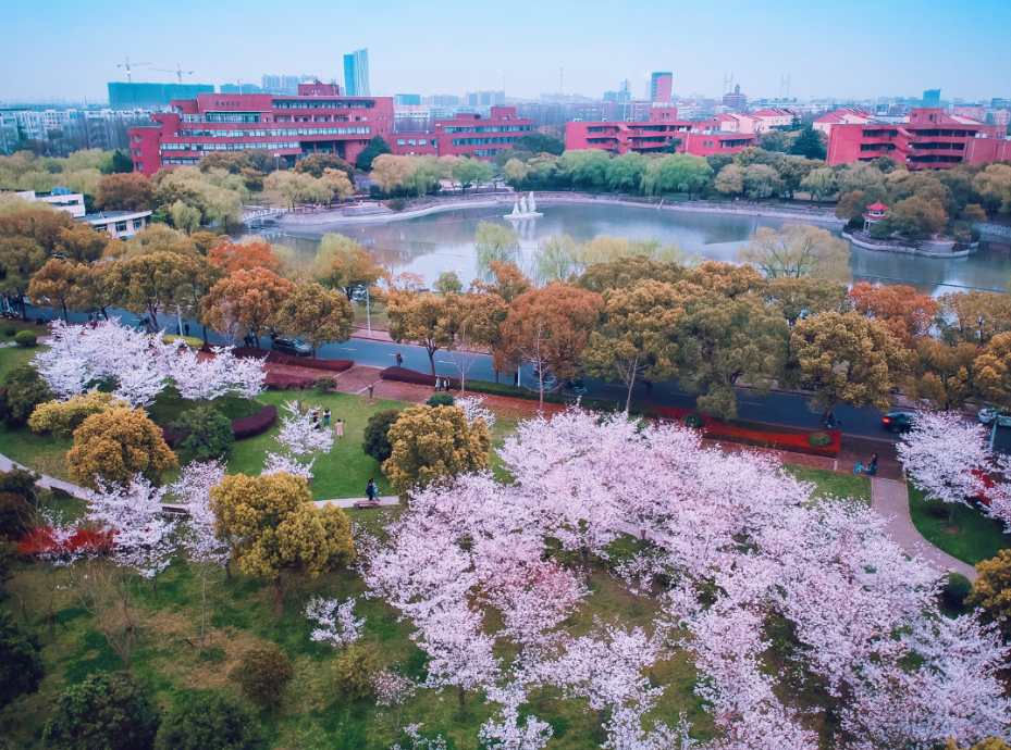 985高校可分为5档，考上前3档都是“超级学霸”，你能考上吗？(图5)