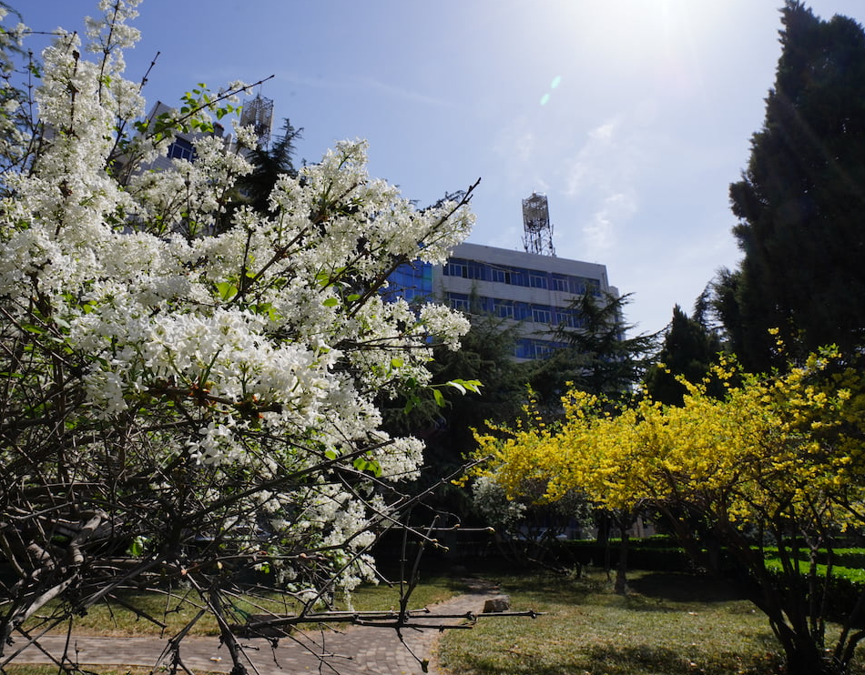 河北很低调的一所“特色”大学，毕业生就业率高，录取分数适中(图9)