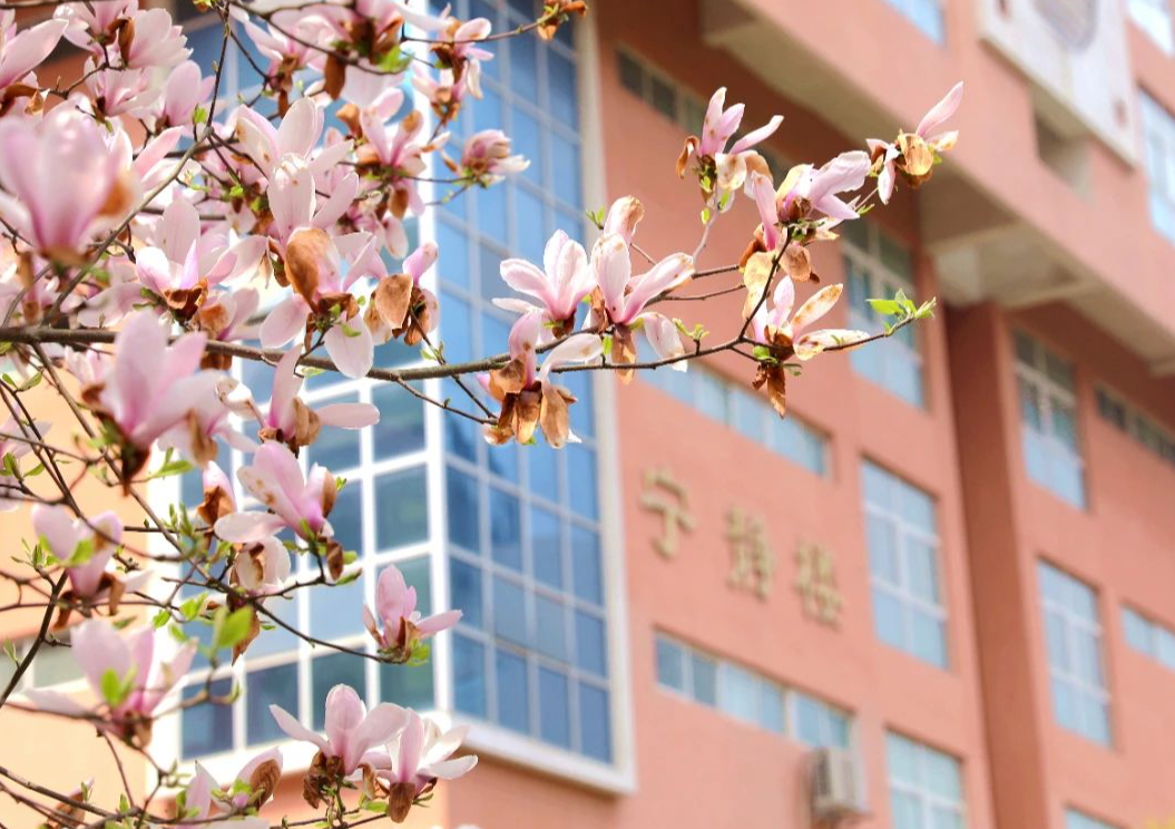 分数不高想报师范类大学，可以考虑这3所，二本就能报考(图2)