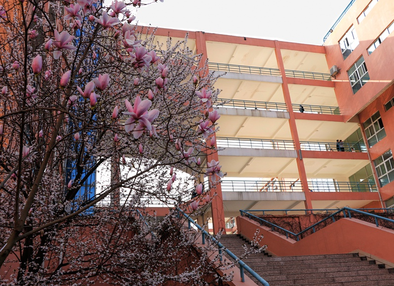 分数不高想报师范类大学，可以考虑这3所，二本就能报考(图3)