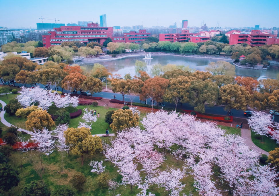 2024中国高校排名，前30名基本都是985大学，高分考生首选-趣考网