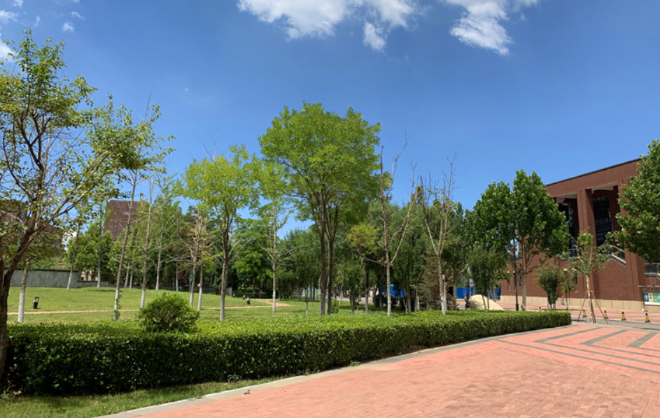 想要学医，千万不要错过这3所分数低的大学，就业不输211(图7)