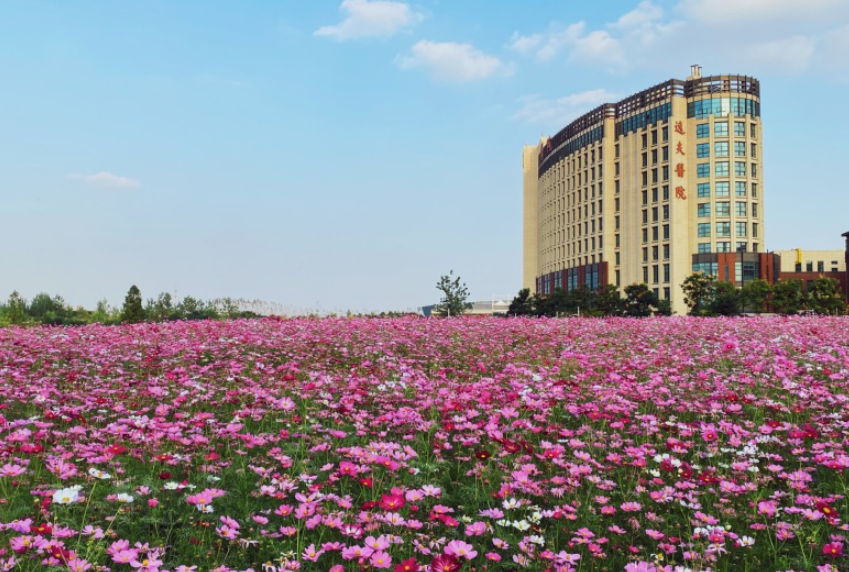 2024年想上医科大学，首选这10所，实力强就业质量高(图4)