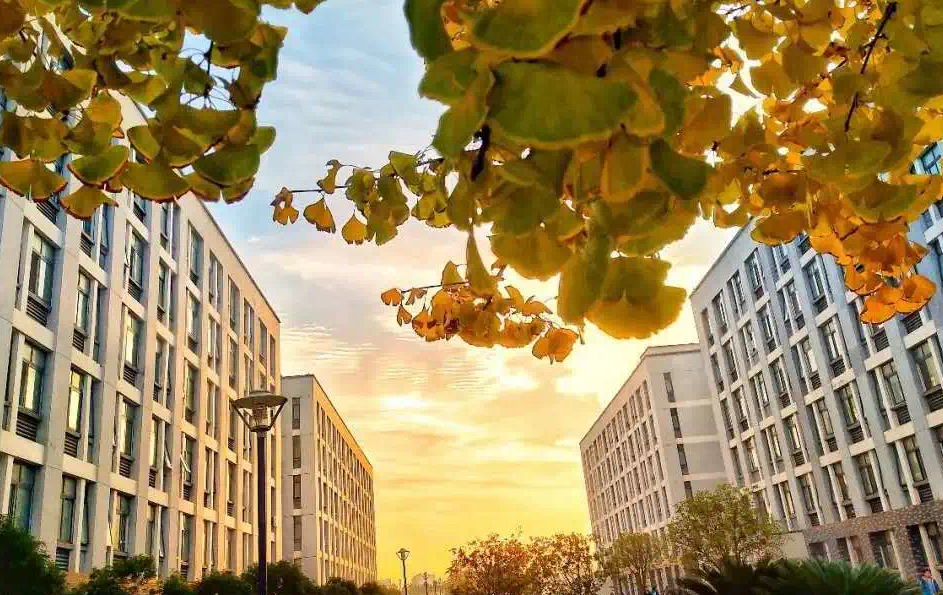 江西“被低估”的双非大学，学科实力很突出，实力“堪比”双一流(图3)