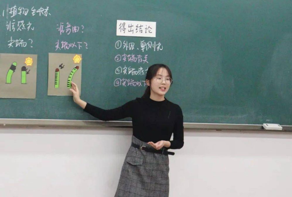 报考师范大学，未来可以直接当编制老师吗？考生需提前了解这几点(图5)