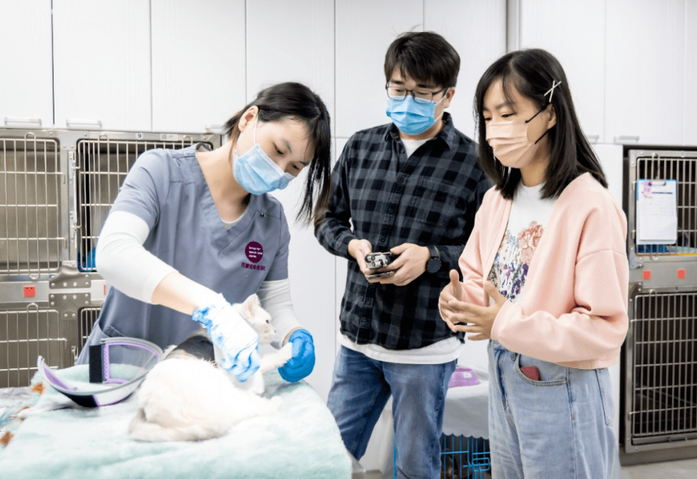 未来女生很吃香的5个专业，待遇好发展有前景，就业更稳定(图6)