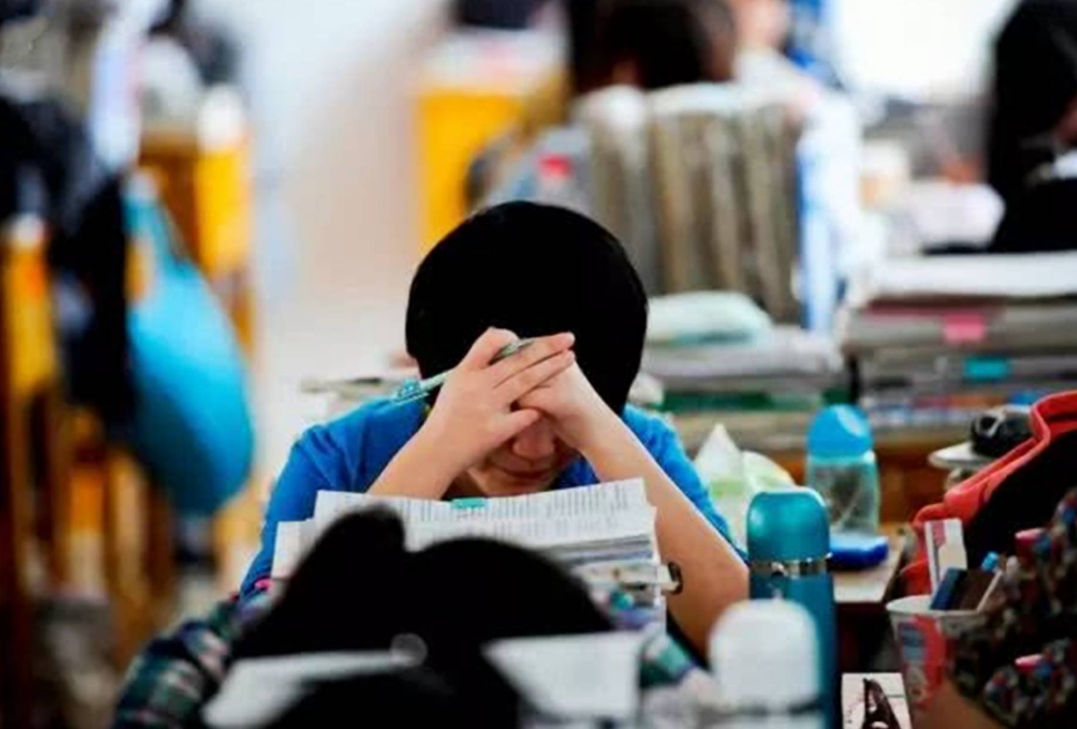 高考只考了300多分，家长该如何给孩子规划？这样选不比本科生差(图2)
