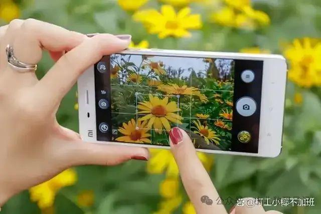 电子版照片怎么弄?一寸/两寸标准电子照片,三种方法轻松解决