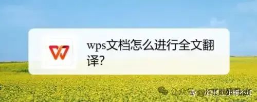 WPS翻译功能在哪？WPS怎么翻译，全面解析看这篇！