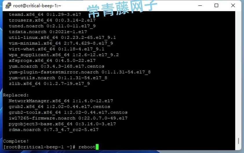 X-UI+宝塔Nginx反代教程：让X-UI面板与宝塔上的网站共存。