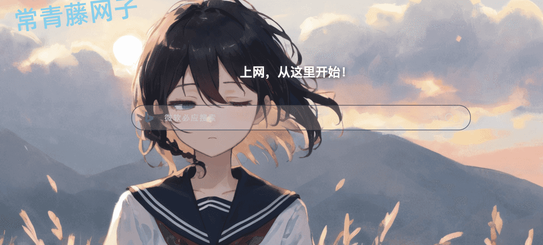 上网导航 文件上传漏洞【poc】