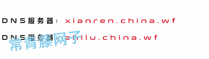 免费自定义域名DNS服务器