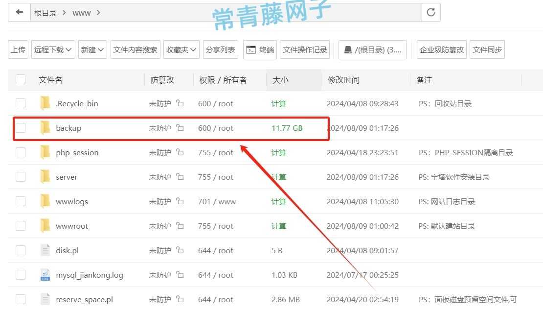 宝塔面板/www/backup/panel里面的是什么文件？