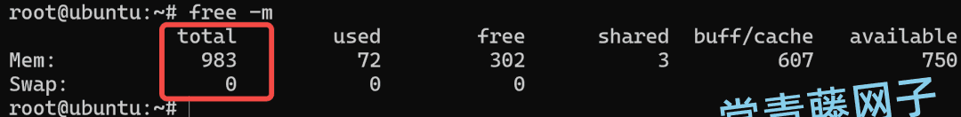 用磁盘空间来扩展物理内存