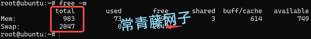 用磁盘空间来扩展物理内存